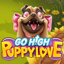 Try Go High Puppy Love slot by RubyPlay on boomzinocasino.net.pl – logo image